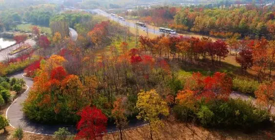 “加减乘除”，教你解开湖滨幸福方程式！