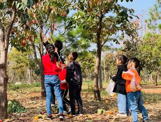 “加减乘除”，教你解开湖滨幸福方程式！