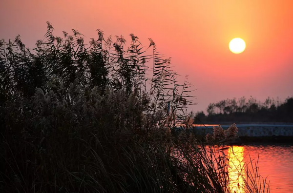 “加减乘除”，教你解开湖滨幸福方程式！