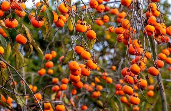 “加减乘除”，教你解开湖滨幸福方程式！