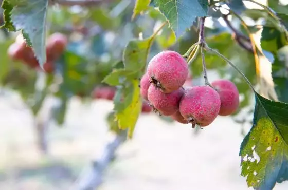 “加减乘除”，教你解开湖滨幸福方程式！