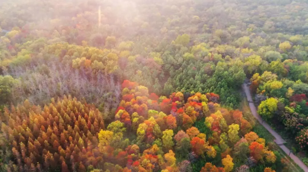 “加减乘除”，教你解开湖滨幸福方程式！