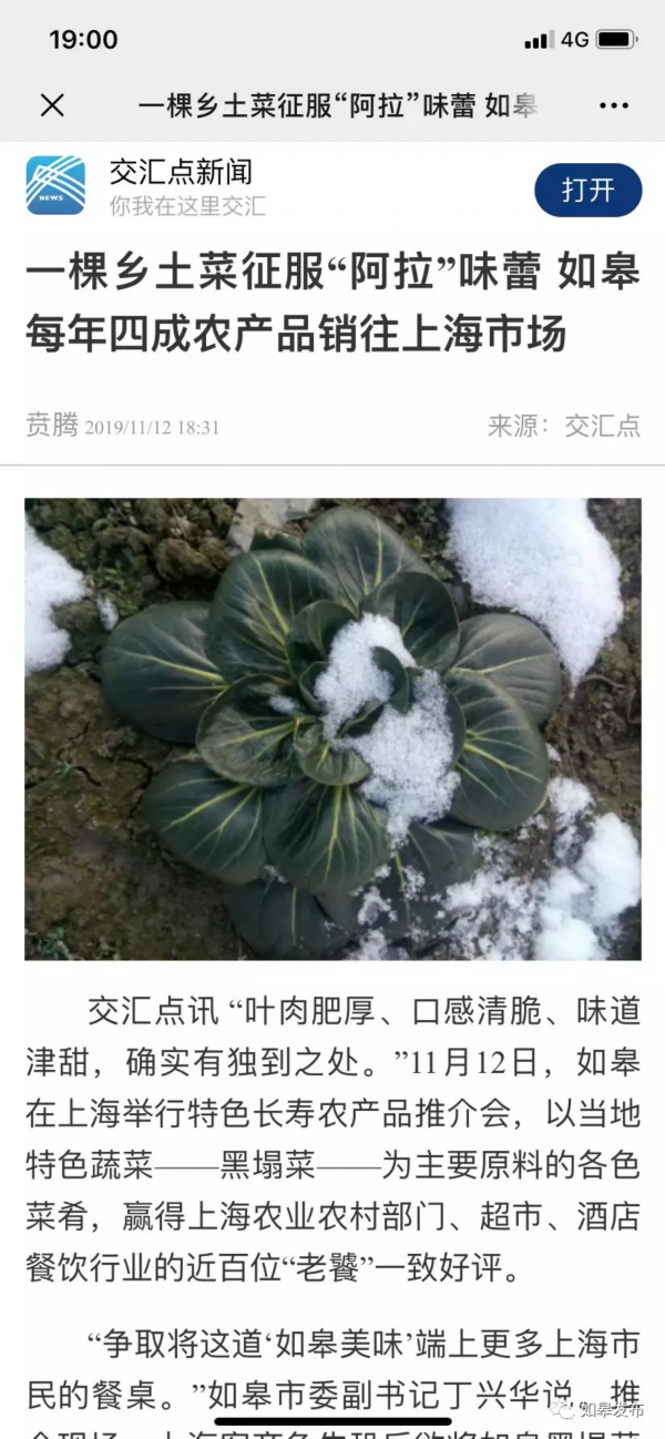 如皋美味飘香大上海！因为一棵菜！它不仅是蔬菜，还是一种文化、