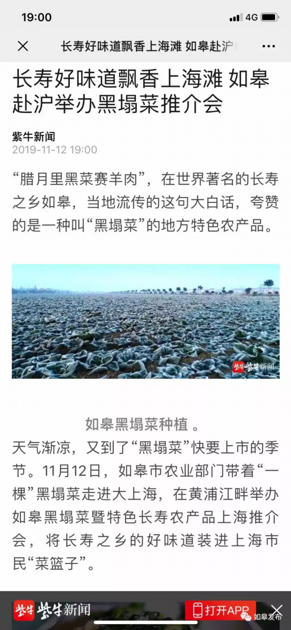 如皋美味飘香大上海！因为一棵菜！它不仅是蔬菜，还是一种文化、
