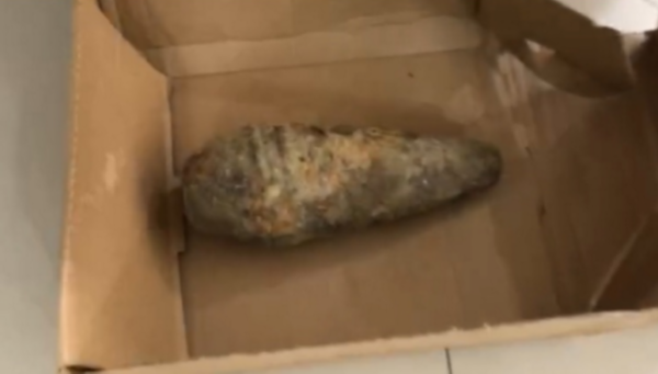 抗战神剧看多了？常熟老伯发现炮弹 竟用力扔出十几米