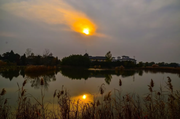 洪泽湖湿地落日余晖，晚霞醉人，只余一个安静的背影！