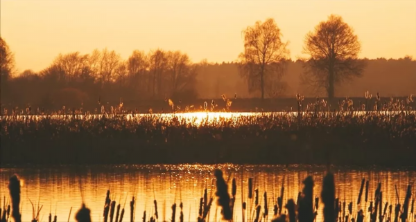 首发！今年冬至夜，就听这首歌！