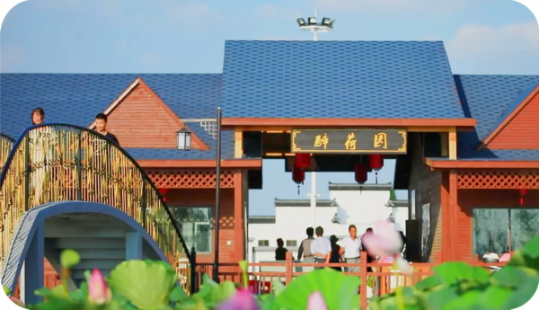 2019中国美丽休闲乡村名单公布！如皋一村庄上榜！江苏省仅9个村～_我苏网