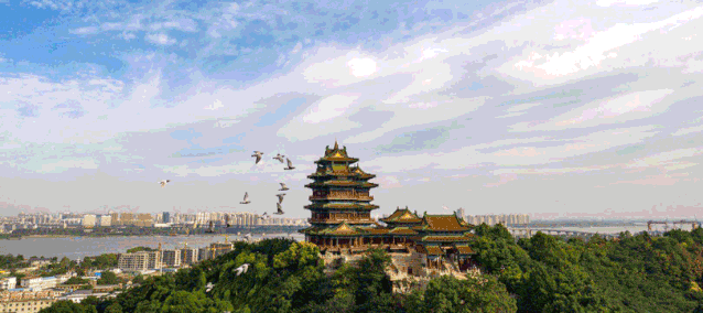 2020，南京按下创新“快进键”