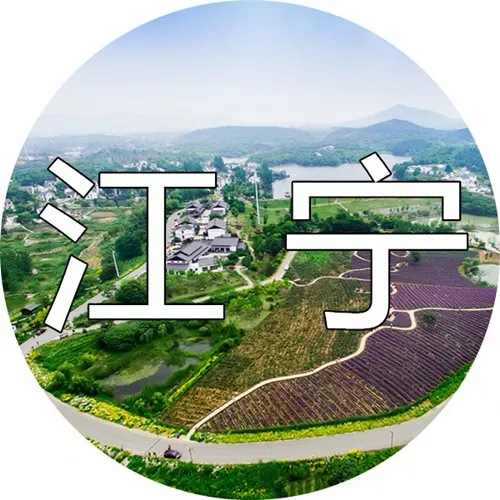 2020，南京按下创新“快进键”