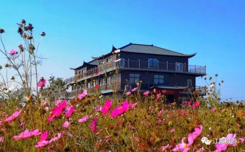 喜讯！省级名单公布，江都这2个村和1个农业园榜上有名！