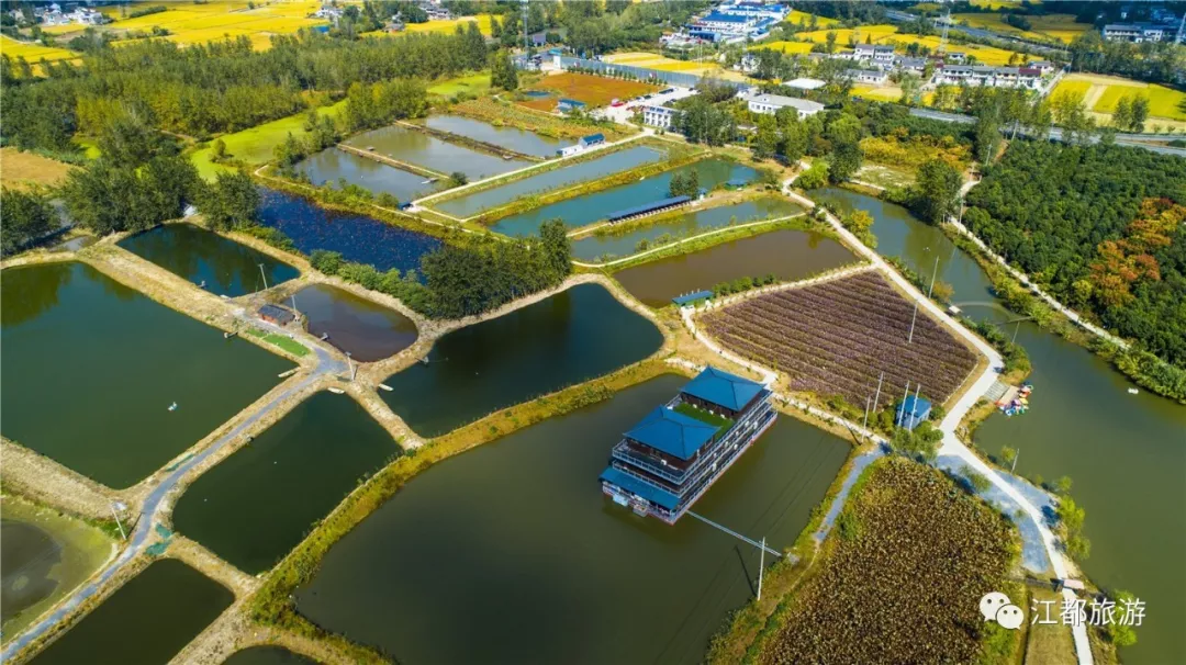 喜讯！省级名单公布，江都这2个村和1个农业园榜上有名！