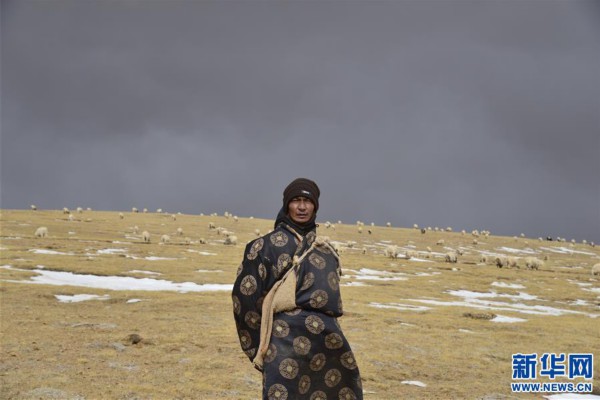 (新华全媒头条·图文互动)(8)跨越半个世纪的生命迁徙——西藏极高海拔生态搬迁破解人与自然共生难题