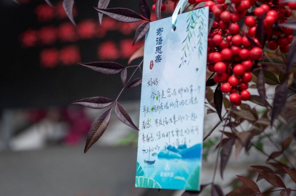 墓穴■近26万套墓穴！无锡市区8大公墓代祭扫全部完成