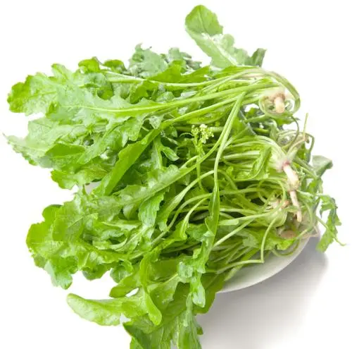 榆钱■舌尖上的春天，沛县人的“吃草”季到了！