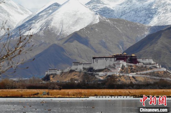 拉萨城市风光：半城山色半城湖