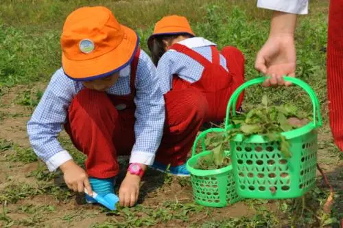 榆钱■舌尖上的春天，沛县人的“吃草”季到了！