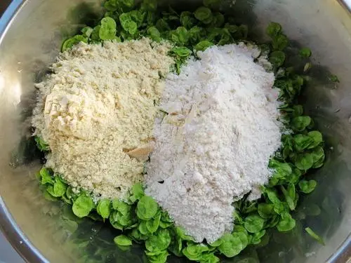 榆钱■舌尖上的春天，沛县人的“吃草”季到了！