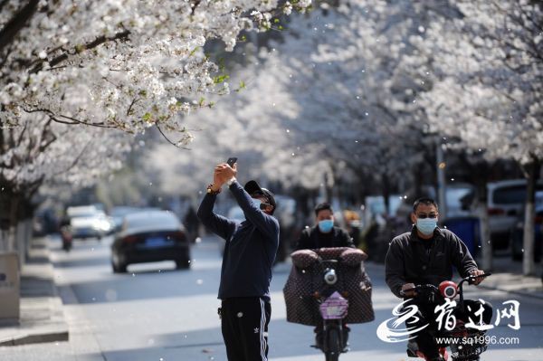 DSC_9407(686382)-20200325082925