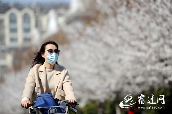 DSC_9547(686375)-20200325082902