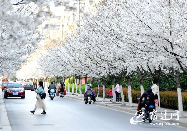 DSC_8470(687025)-20200325082854