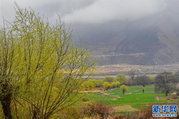 （图文互动）（2）&ldquo;今天的生活，就像梦里梦到那样甜&rdquo;&mdash;&mdash;写在西藏百万农奴解放61周年之际