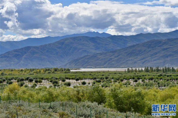 （图文互动）（4）&ldquo;今天的生活，就像梦里梦到那样甜&rdquo;&mdash;&mdash;写在西藏百万农奴解放61周年之际