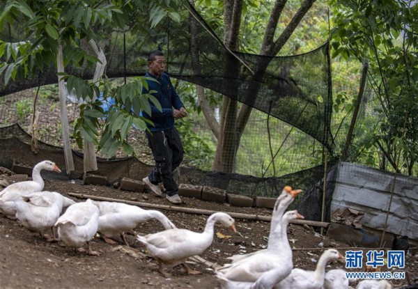 （新华全媒头条&middot;两会精神看落实&middot;图文互动）（8）培育新机 开辟新局&mdash;&mdash;落实全国两会精神激发经济发展新动能述评