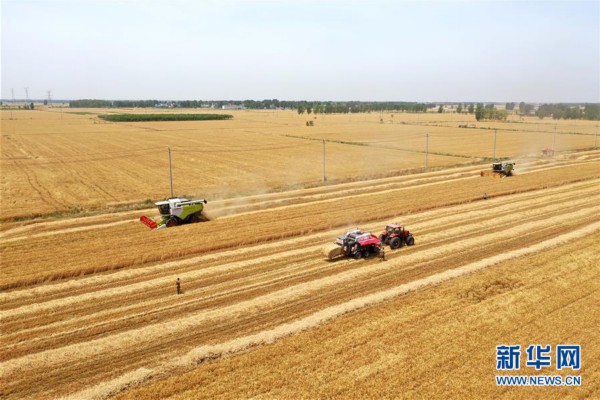 （新华全媒头条&middot;两会精神看落实&middot;图文互动）（6）培育新机 开辟新局&mdash;&mdash;落实全国两会精神激发经济发展新动能述评