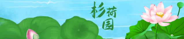 荷花■走！杉荷园“拍了拍”你，到这邂逅美丽荷花，今夏美翻人间！