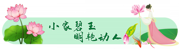 荷花■走！杉荷园“拍了拍”你，到这邂逅美丽荷花，今夏美翻人间！