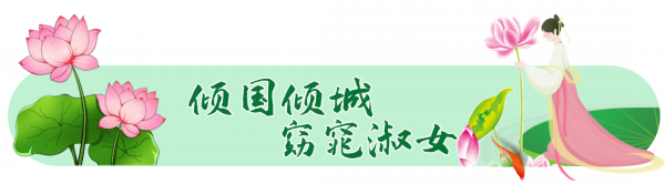 荷花■走！杉荷园“拍了拍”你，到这邂逅美丽荷花，今夏美翻人间！