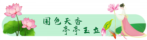 荷花■走！杉荷园“拍了拍”你，到这邂逅美丽荷花，今夏美翻人间！
