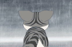雷雨■泰州发布雷暴黄色预警！这场雨将连下三天……