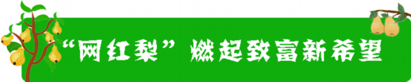 梨园湾■卖到全国去!