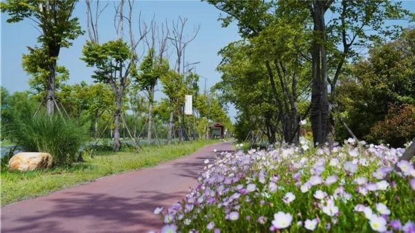 金银■花都开好了！快来向着“幸福”出发！