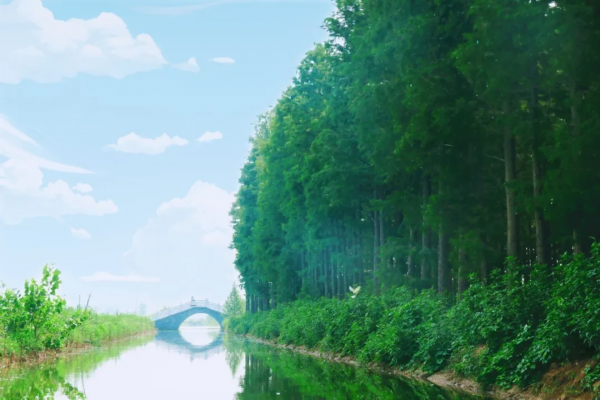 烟火气■来宿豫，许你一场“人间烟火”！