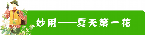 清凉一夏■谢谢你的花心，让我清凉一夏！