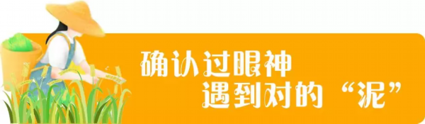 宿豫■忘不了的味道~丁嘴金针菜的“前世今生”
