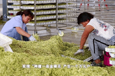 清凉一夏■谢谢你的花心，让我清凉一夏！