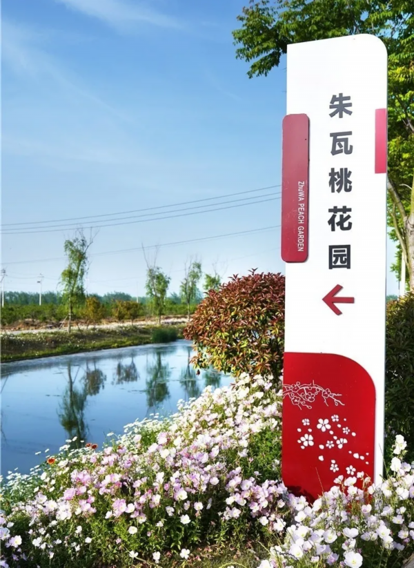 金银■花都开好了！快来向着“幸福”出发！
