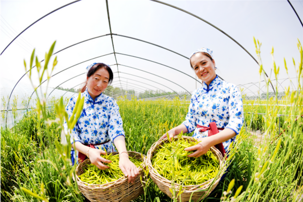 清凉一夏■谢谢你的花心，让我清凉一夏！