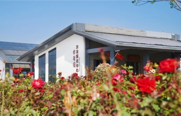 金银■花都开好了！快来向着“幸福”出发！