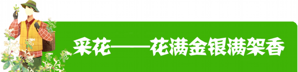 清凉一夏■谢谢你的花心，让我清凉一夏！