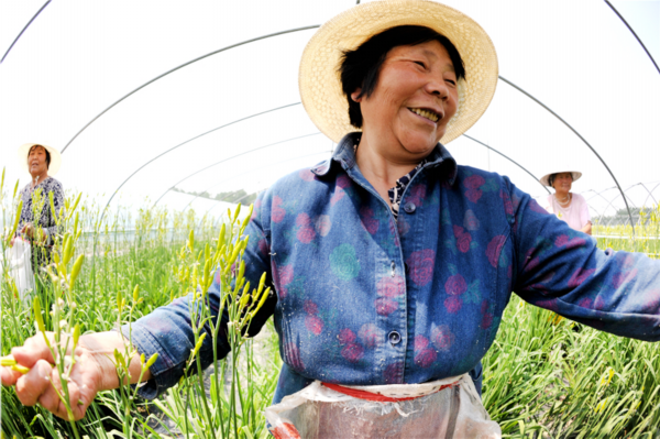 清凉一夏■谢谢你的花心，让我清凉一夏！