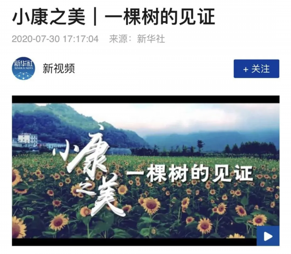 淮安■新华社播发通稿！一棵树，见证淮安这个村华丽转身