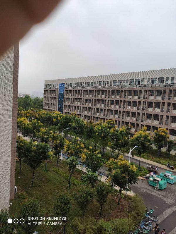 男女混住|河南科技大学试点“男女混住”？校方回应：存在误解