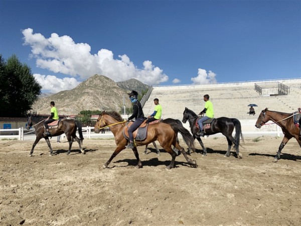 马匹|雪顿节赛马表演20日上午上演 新增马匹跳火圈、火墙等精彩项目