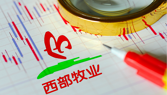 股价爆涨业绩不咋地 天山生物、西部牧业遭重点监控