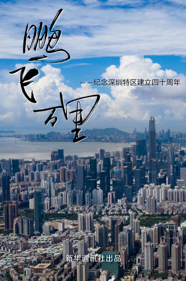 建立|鹏飞万里——纪念深圳特区建立四十周年
